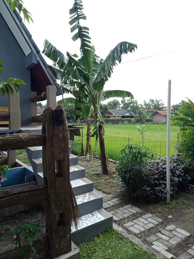 Joglopari Guesthouse Room 2 Bukan Untuk Pasangan Non Pasutri Tjepit 외부 사진